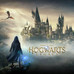 NINTENDO-NS-J HOGWARTS LEG STD-DU8 NINTENDO-NS-J HOGWARTS LEG STD