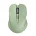 RATON TRUST MYDO SIL WIR GREE