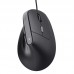 RATON TRUST BAYO II WIRED BK