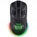 RATON TRUST GXT 929 HELOX BK