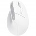 RATON OPTICO WIRELESS ERGONOMICO VERTICAL BAYO+ BLANCO TRUST