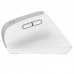 RATON OPTICO WIRELESS ERGONOMICO VERTICAL BAYO+ BLANCO TRUST