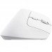 RATON OPTICO WIRELESS ERGONOMICO VERTICAL BAYO+ BLANCO TRUST