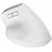 RATON OPTICO WIRELESS ERGONOMICO VERTICAL BAYO+ BLANCO TRUST