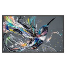 PANTALLA PHILIPS DIGITAL SIGNAGE Q-LINE FHD 43"" 43BDL3510Q/00-AA181 PANTALLA PHILIPS DIGITAL SIGNAGE Q-LINE FHD 43"" 43BDL3510Q/00