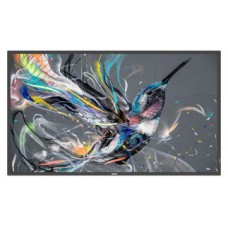 PANTALLA PHILIPS DIGITAL SIGNAGE Q-LINE 4K 65"" 65BDL3511Q-AA292 PANTALLA PHILIPS DIGITAL SIGNAGE Q-LINE 4K 65"" 65BDL3511Q