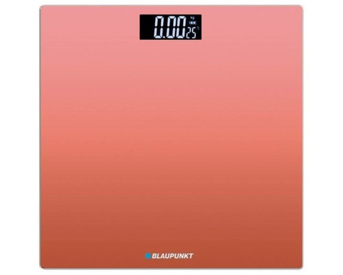 BLP-PAE-BAS BP5008