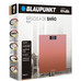 BLP-PAE-BAS BP5008