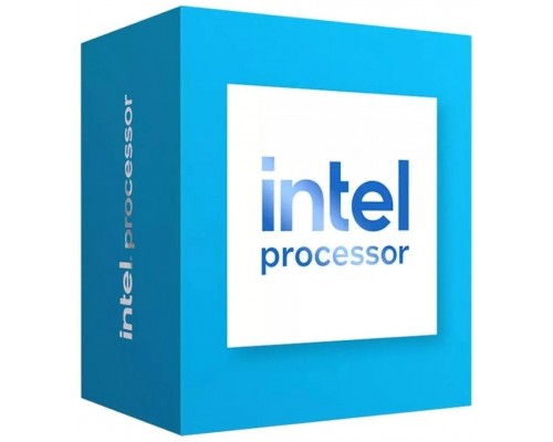 INTEL 300 DUAL CORE BOX
