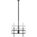 AIS-SOP CT100TSLE-393