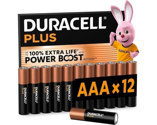 PILAS DURACELL DPBLR3B12
