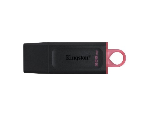 MEMORIA KINGSTON-JETFLASH DTX 256GB