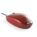 RATON NGS FLAMERED