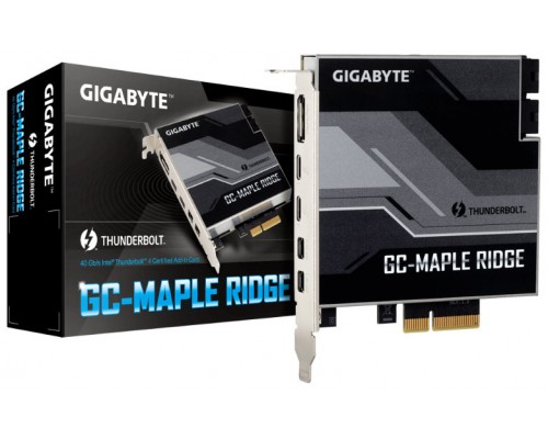 MAPLE RIDGE GIGABYTE