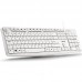 TECLADO NGS HERITAGE WH-DU2 TECLADO NGS HERITAGE WH
