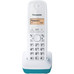 TELEFONO PANASONIC KX-TG1611GC