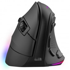 RATON TACENS MM-SK BK