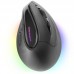 RATON TACENS MM-SK BK-DU6 RATON TACENS MM-SK BK