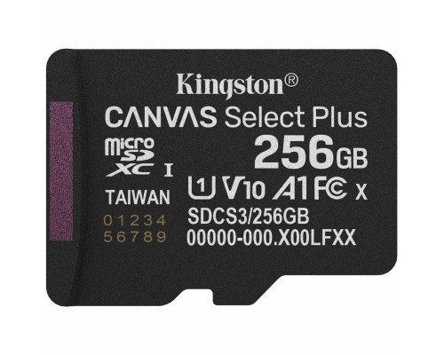 MEMORIA KINGSTON-MICROSD SDCS3 256GBSP